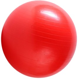 NIMBLE PELOTA PILATES 55″