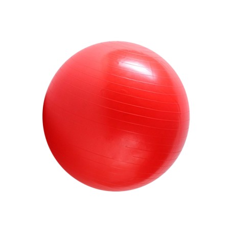 NIMBLE PELOTA PILATES 55″
