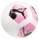 PUMA BALON SOCCER BIG CAT 5